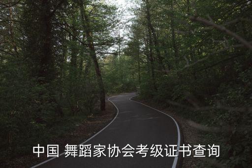 中国 舞蹈家协会考级证书查询