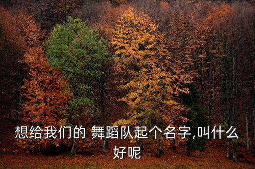 想给我们的 舞蹈队起个名字,叫什么好呢