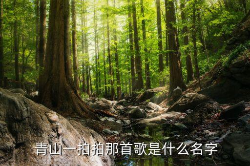 青山一排排舞蹈*,最后一排座位永远不会坐在最后