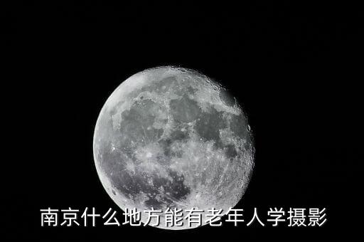 南京舞蹈俱乐部,南京老年摄影协会:北极海狼依然存在