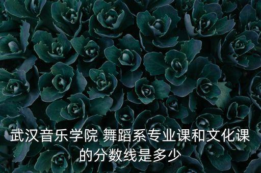 武汉音乐学院 舞蹈系专业课和文化课的分数线是多少