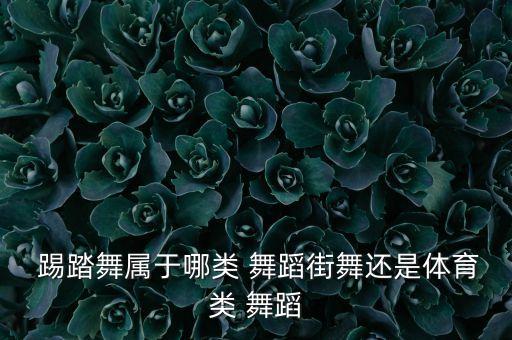  踢踏舞属于哪类 舞蹈街舞还是体育类 舞蹈