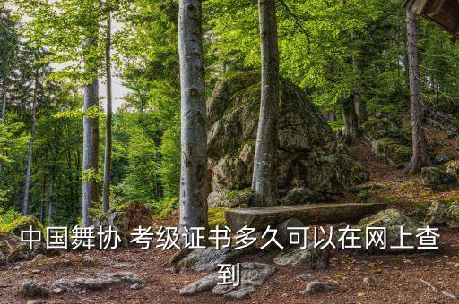 中国舞协 考级证书多久可以在网上查到