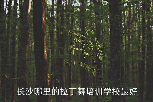 长沙有名的舞蹈培训班,舞蹈是生活的一面镜子