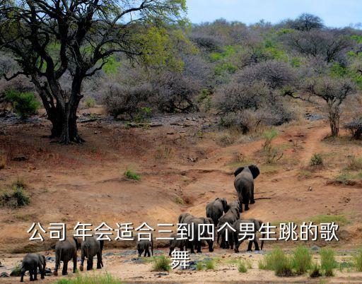  公司 年会适合三到四个男生跳的歌舞