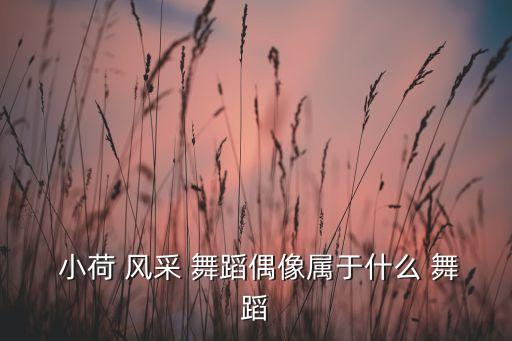  小荷 风采 舞蹈偶像属于什么 舞蹈