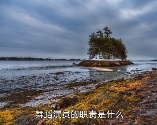 舞蹈二度创作怎么写,理解舞蹈，喜欢舞蹈