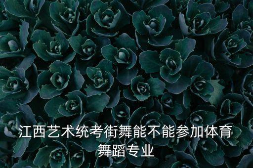  江西艺术统考街舞能不能参加体育 舞蹈专业
