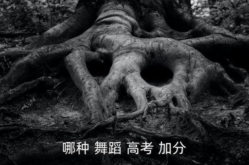 高考舞蹈是否加分,高考加分政策是为特长生加分而设的政策