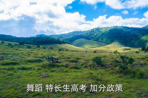  舞蹈 特长生高考 加分政策
