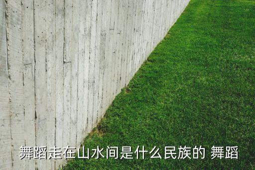  舞蹈走在山水间是什么民族的 舞蹈