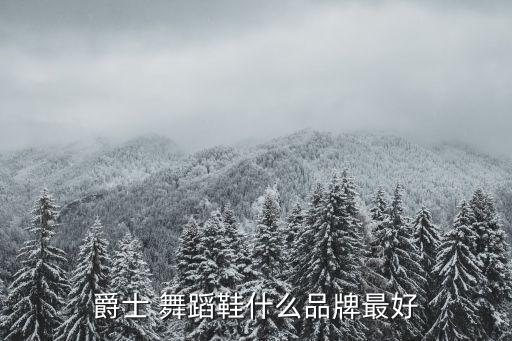 三沙舞蹈鞋,三沙-1/鞋子只有三沙才是真正舞蹈品牌