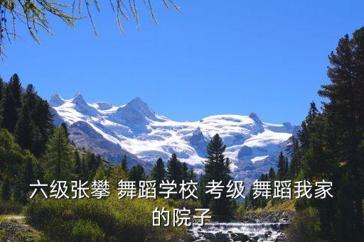 六级张攀 舞蹈学校 考级 舞蹈我家的院子