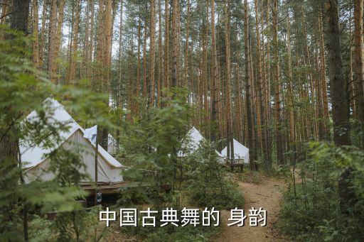 身韵在舞蹈中的作用,古典舞的气韵与身韵完美结合
