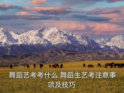  舞蹈艺考考什么 舞蹈生艺考注意事项及技巧
