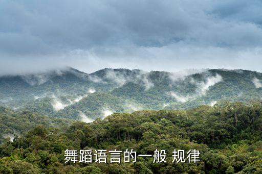  舞蹈语言的一般 规律