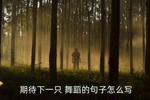 期待下一只 舞蹈的句子怎么写
