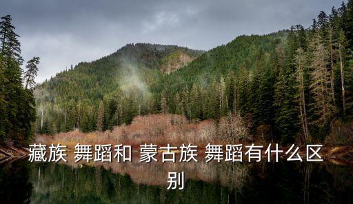 藏族 舞蹈和 蒙古族 舞蹈有什么区别