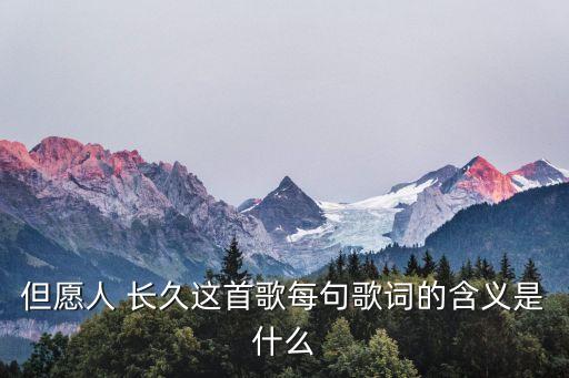 但愿人 长久这首歌每句歌词的含义是什么