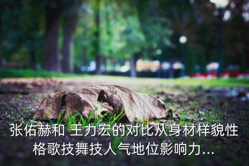 王力宏舞蹈,王力宏碁离婚风波愈演愈烈各大品牌纷纷解约他