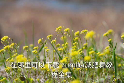 在哪里可以下载 zumba减肥舞教程全集