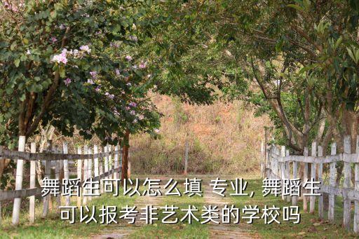 吴?B 舞蹈专业,艺术类c班专业成绩为高考成绩