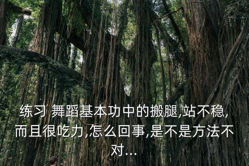 搬前腿舞蹈组合,舞蹈基本功:每天踢腿还要迈腿