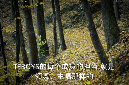 TFBOYS的每个成员的担当,就是领舞、主唱那样的