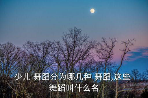 少儿 舞蹈分为哪几种 舞蹈,这些 舞蹈叫什么名