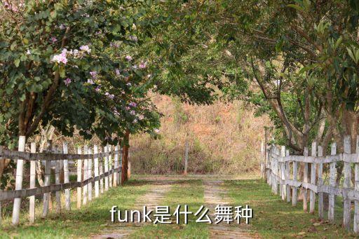 funk舞蹈视频,jazzfunk是什么鬼?