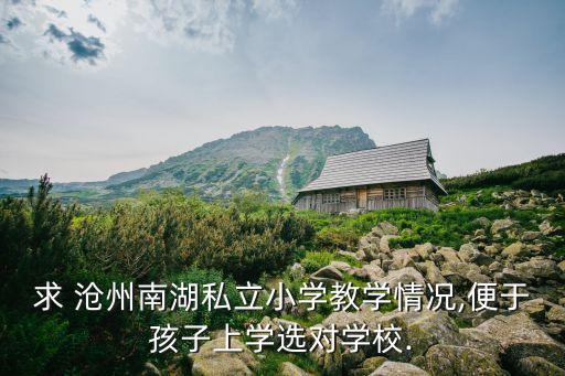 求 沧州南湖私立小学教学情况,便于孩子上学选对学校.