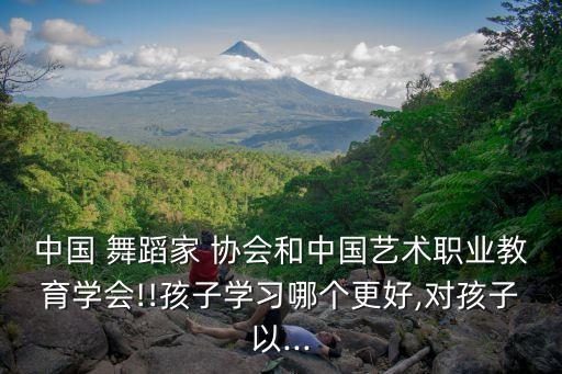 加入舞蹈家协会的好处,选择自己擅长的领域和方向盘