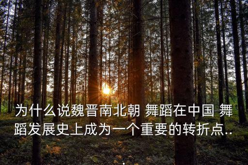 为什么说魏晋南北朝 舞蹈在中国 舞蹈发展史上成为一个重要的转折点...