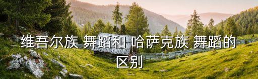 维吾尔族 舞蹈和 哈萨克族 舞蹈的区别