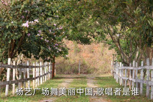  杨艺广场舞美丽中国,歌唱者是谁