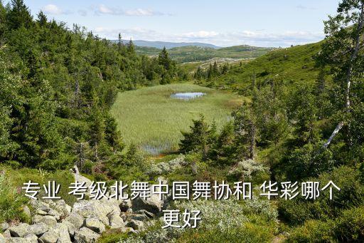 专业 考级北舞中国舞协和 华彩哪个更好