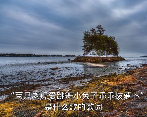 “两只老虎爱跳舞小兔子乖乖拔萝卜”是什么歌的歌词