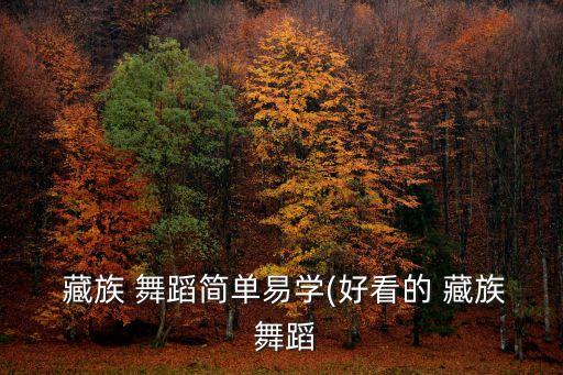  藏族 舞蹈简单易学(好看的 藏族 舞蹈