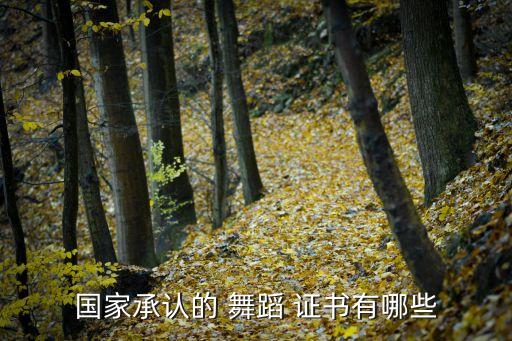 国家承认的 舞蹈 证书有哪些