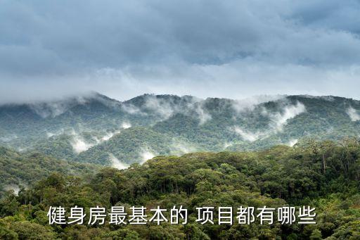 大众健身舞蹈培训项目,专业健身俱乐部投资健身器材不建高楼