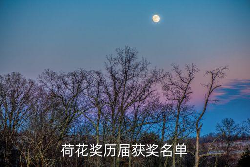 阿惹妞舞蹈分析,第三届中国舞蹈荷花奖共五人获奖