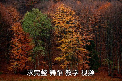 现代的舞蹈教学视频大全,工作舞蹈教程视频第一集