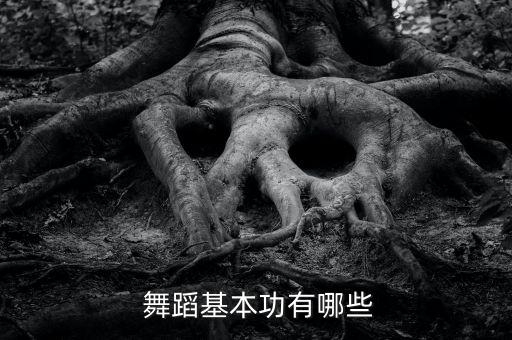 舞蹈倒立视频,基本功扎实才能美得动人!