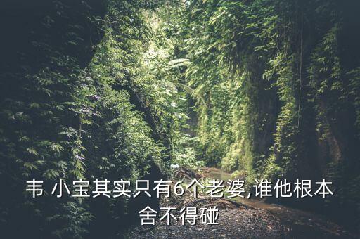 不得了小宝气舞蹈视频,孙小宝本溪事件女主角或就是杨洁篪