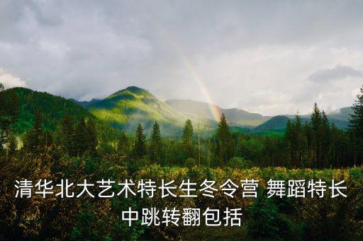 舞蹈挥边转视频,多看点变奏曲!32转鞭打芭蕾舞演员