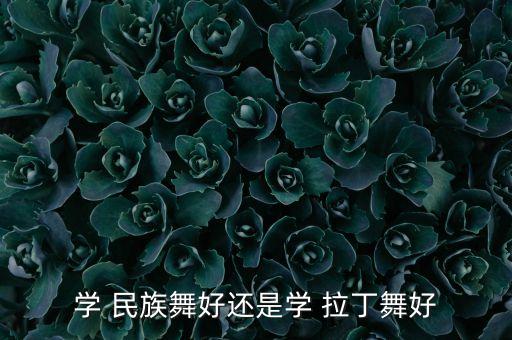 学 民族舞好还是学 拉丁舞好