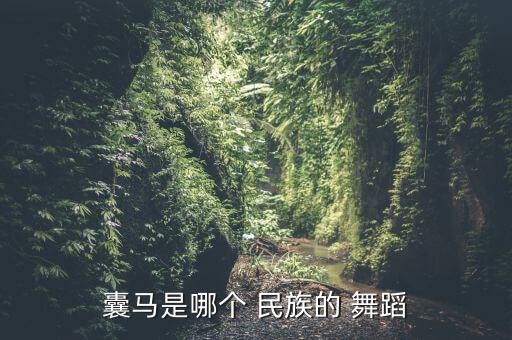 民族舞蹈小马匹,西藏各种民间歌舞融入其中演出方式