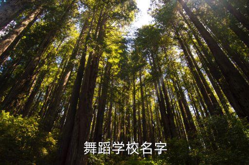 金宇舞蹈,深圳龙腾国际舞蹈培训基地舞蹈学员成功摘下冠军