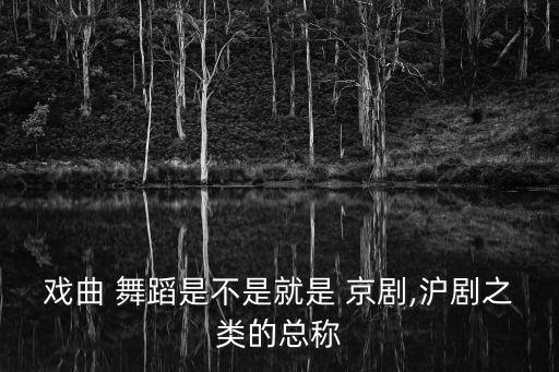 戏曲 舞蹈是不是就是 京剧,沪剧之类的总称