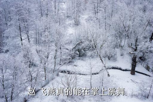 舞蹈小飞燕,赵飞燕跳《归风寄远歌》